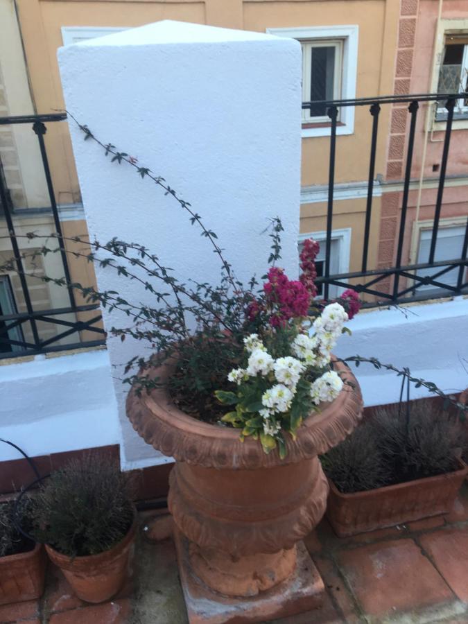 Romantic Central Terrace Madrid Exteriör bild